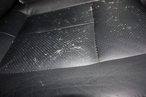 As you can see the water that soaked the car began to grow mold and mildew