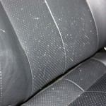 Mold and mildew growing out of the holes in the leather seats Mold and mildew growing out of the holes in the leather seats