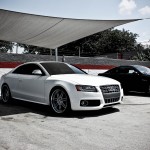 2008 Audi S5 @ VehicleSpa Orlando
